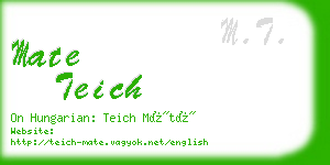 mate teich business card